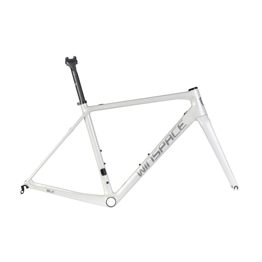 SLC2.0 Disc フレームセット(2021) WINSPACE SLC2.0 – WINSPACE JAPAN