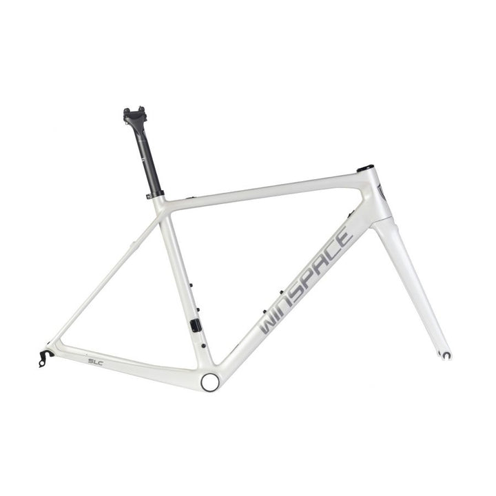 WINSPACE SLC2.0 matte white carbon fiber bicycle frame and fork with gloss logo, showcasing product appearance.