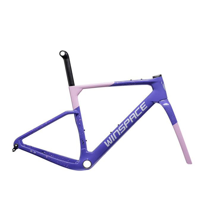 WINSPACE G3 gravel bike frameset in purple with pink accents and speckled finish, white logo.