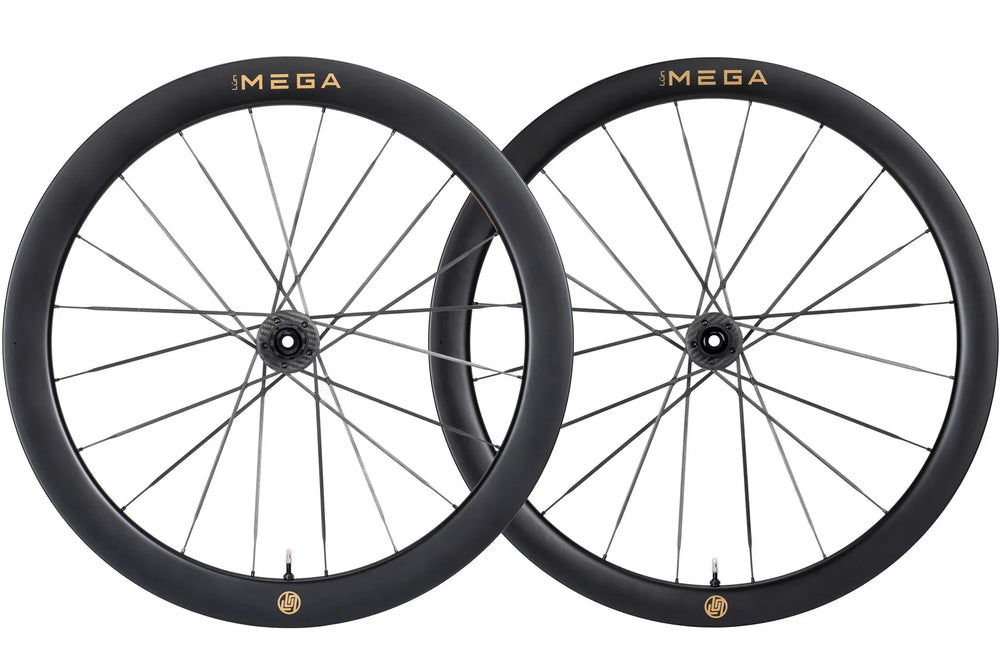 Dark gray OMEGA carbon fiber bike wheels with gold branding, thin black spokes, and black hubs.